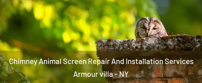 Chimney Animal Screen Repair And Installation Services Armour villa - NY