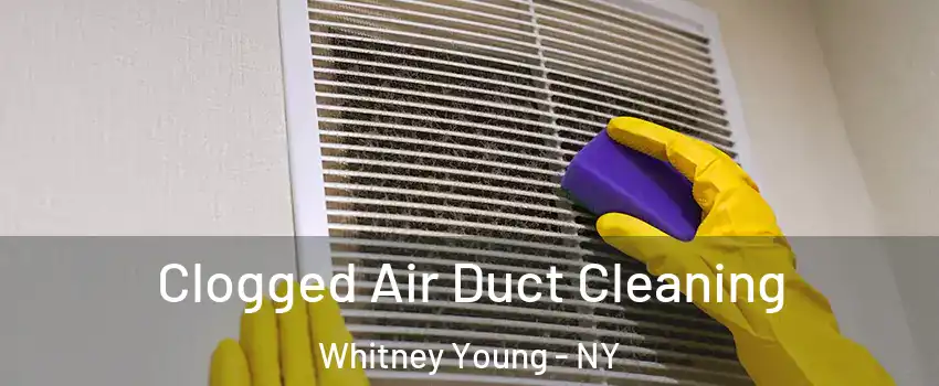 Clogged Air Duct Cleaning Whitney Young - NY